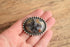 Petrified Wood Brooch
